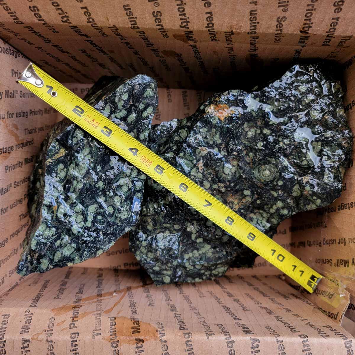 Kambaba Jasper Fossil Stromatolite Cutting Rough Flatrate!