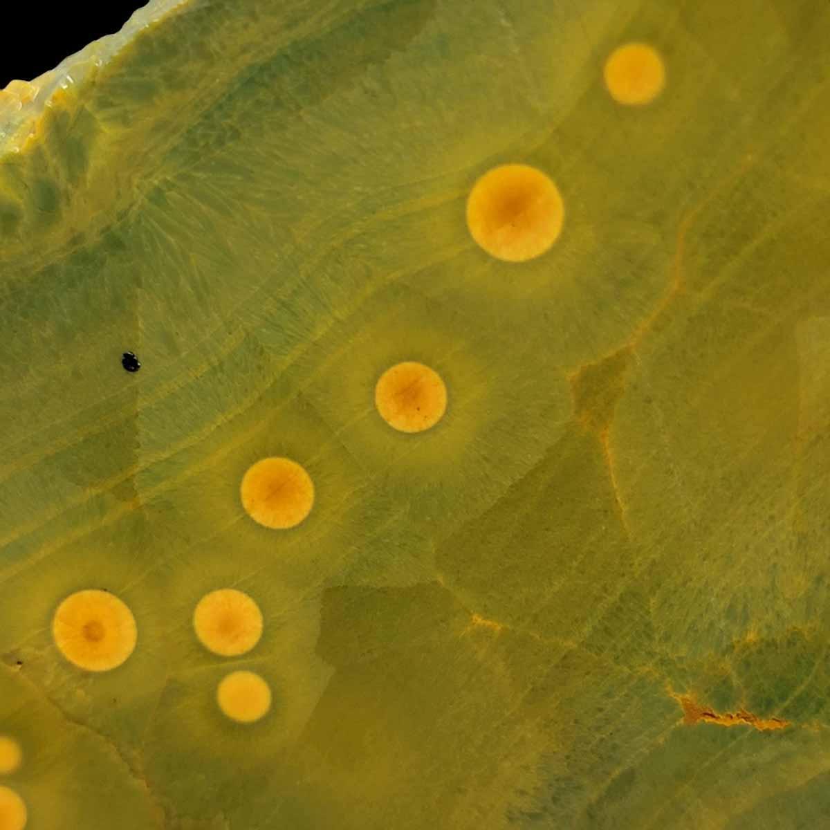 Kambaby Ocean Jasper Slab! Lapidary Stone Slab! - LapidaryCentral