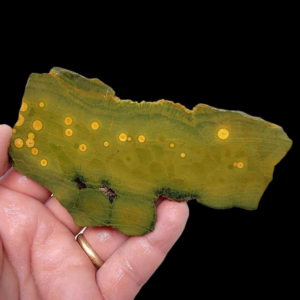 Kambaby Ocean Jasper Slab! Lapidary Stone Slab! - LapidaryCentral