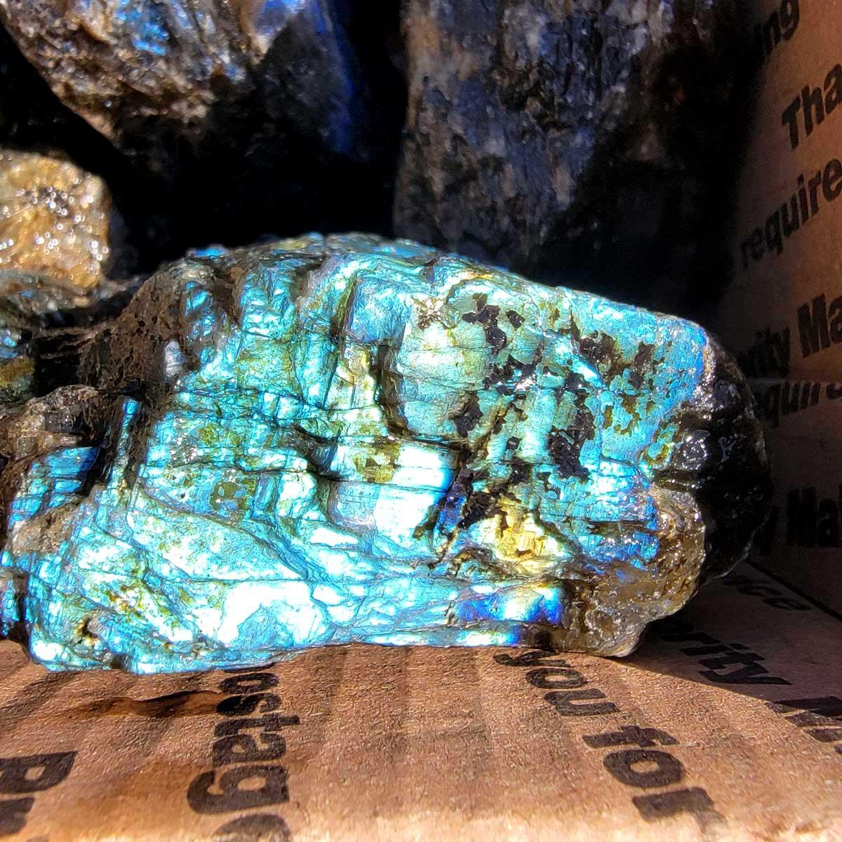 High Grade Labradorite Cutting Rough Batch with Good Flash! - LapidaryCentral