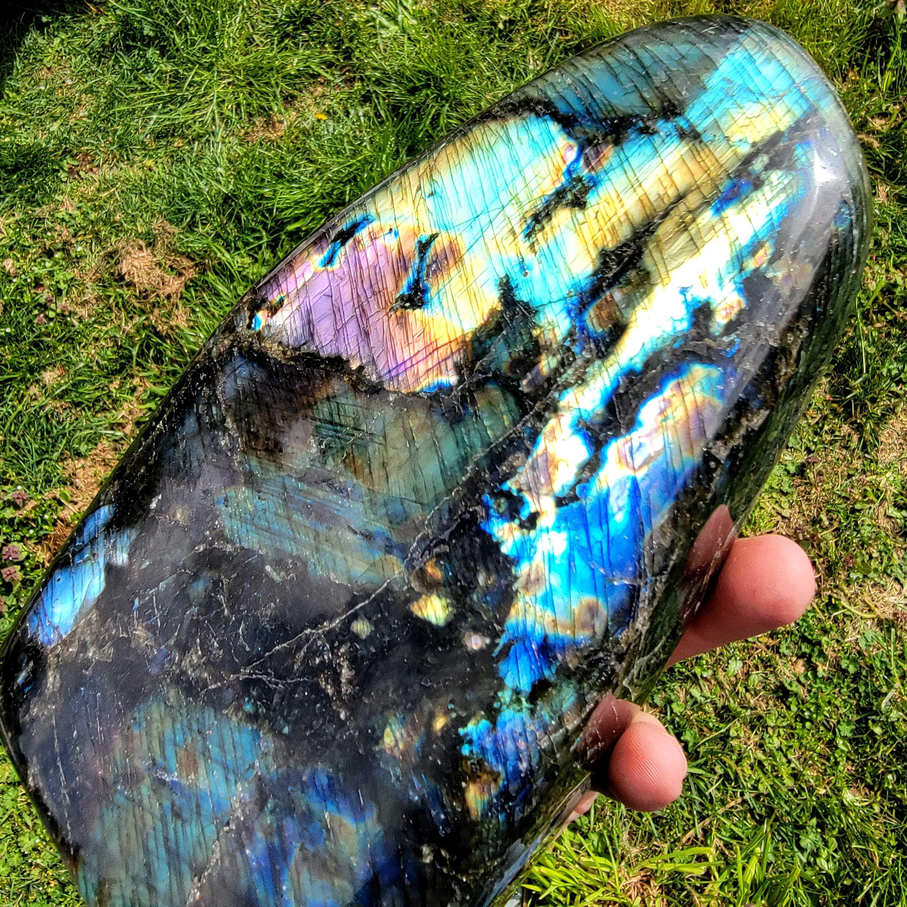 Polished AAA Labradorite Display Specimen! High Grade! - LapidaryCentral
