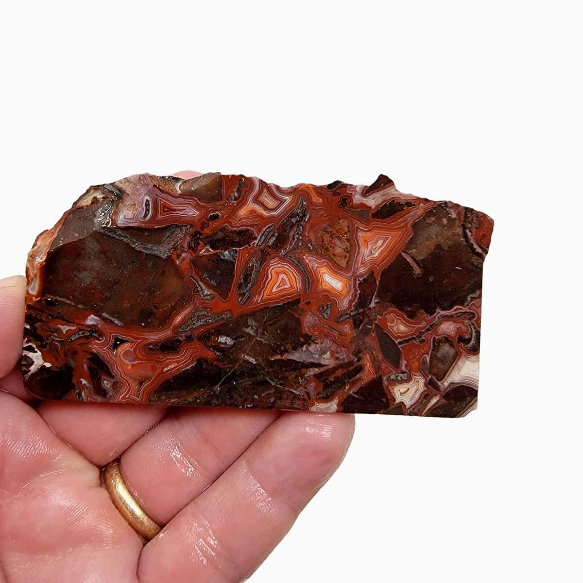 Laguna Lace Agate Slab! Lapidary Stone Slab! - Lapidary Central