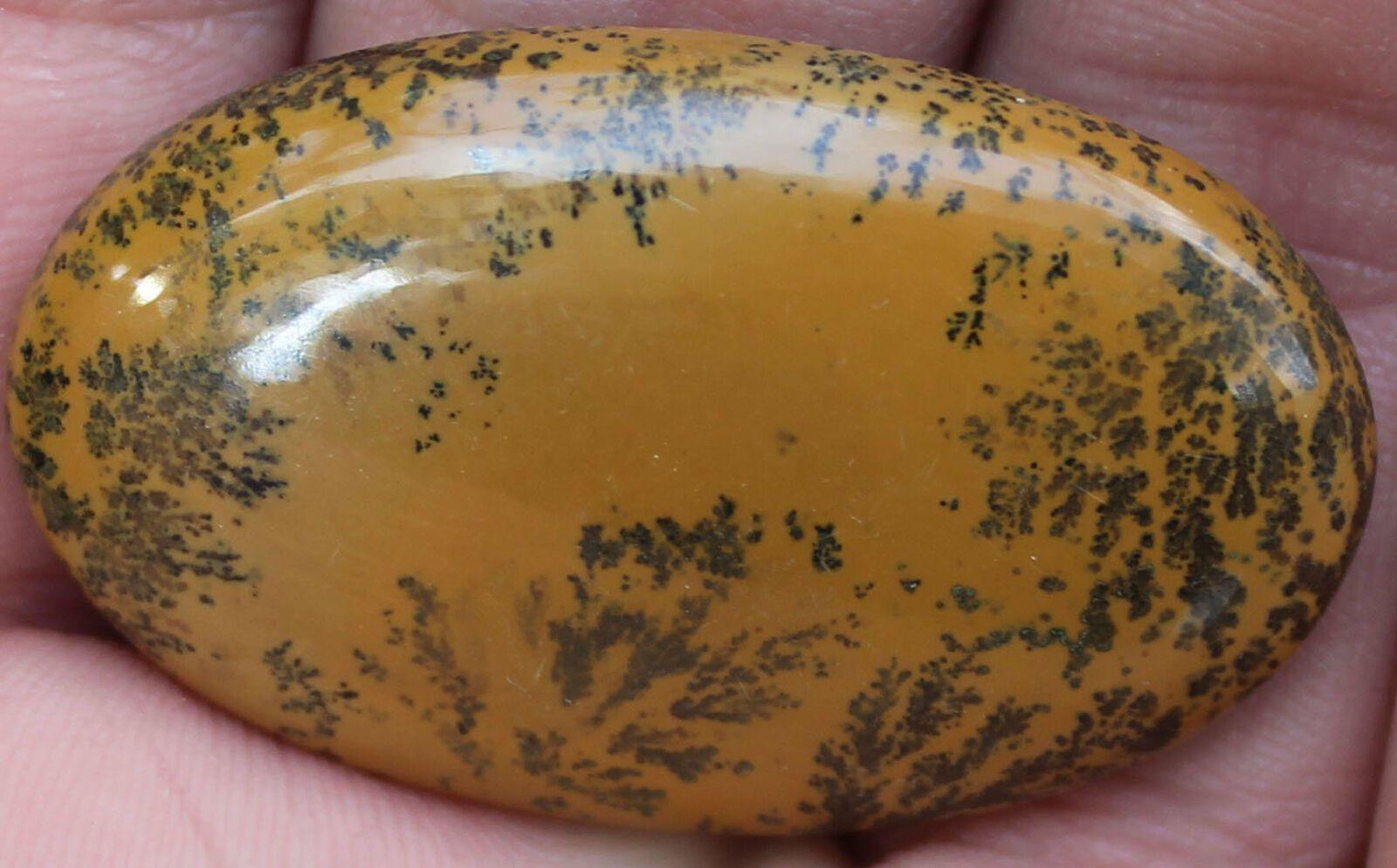 STUNNING Flower Jasper Cabochon! - LapidaryCentral