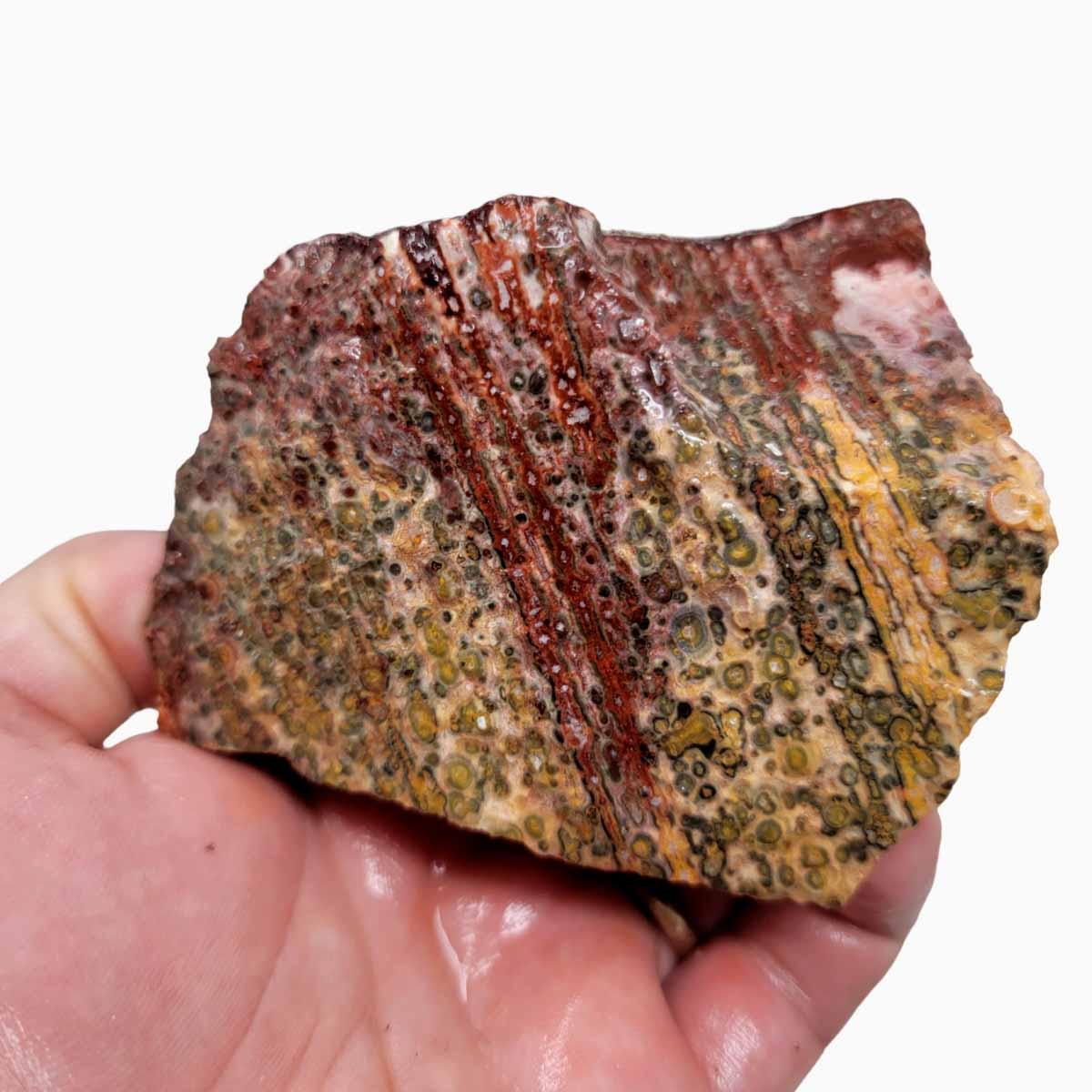 Leopard Skin Rhyolite Rough Chunk! - LapidaryCentral