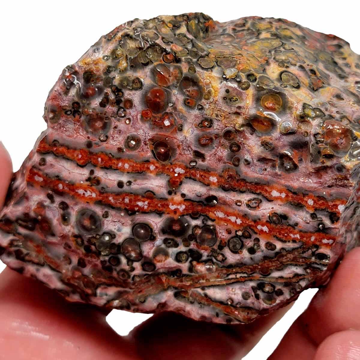 Leopard Skin Rhyolite Rough Chunk!