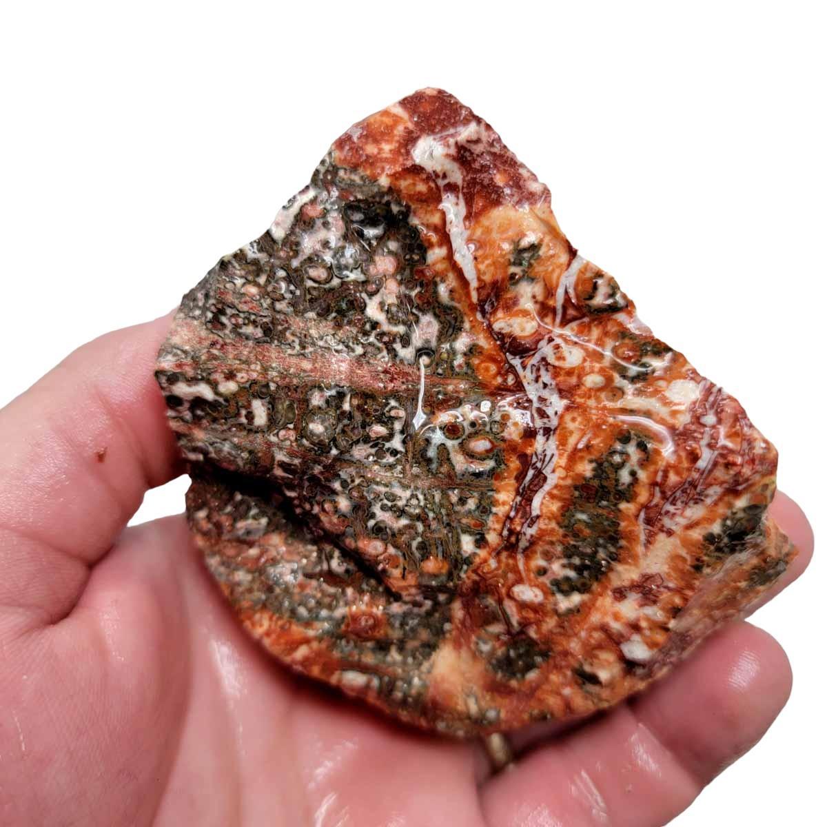 Leopard Skin Rhyolite Rough Chunk! - LapidaryCentral