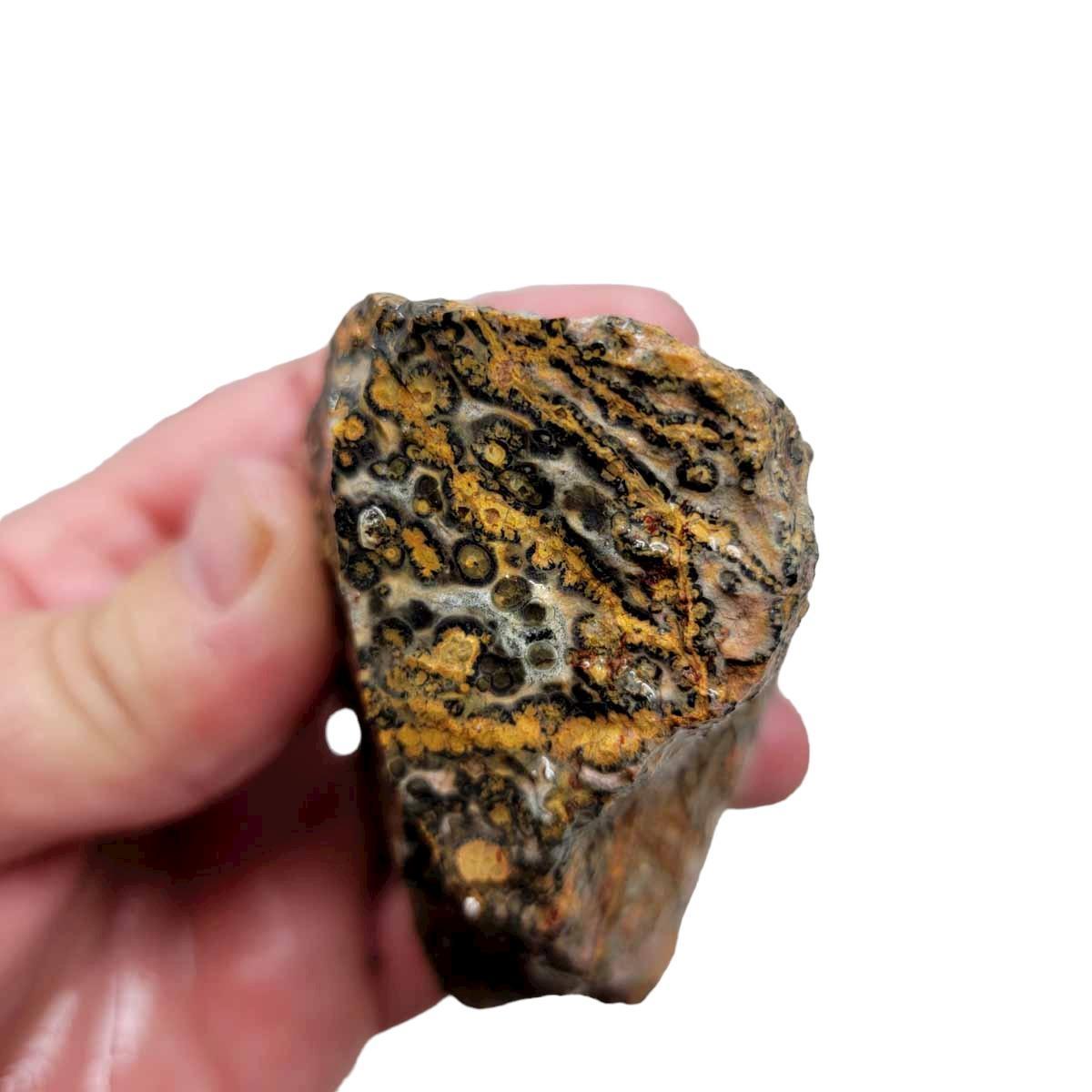 Leopard Skin Rhyolite Rough Chunk! - LapidaryCentral