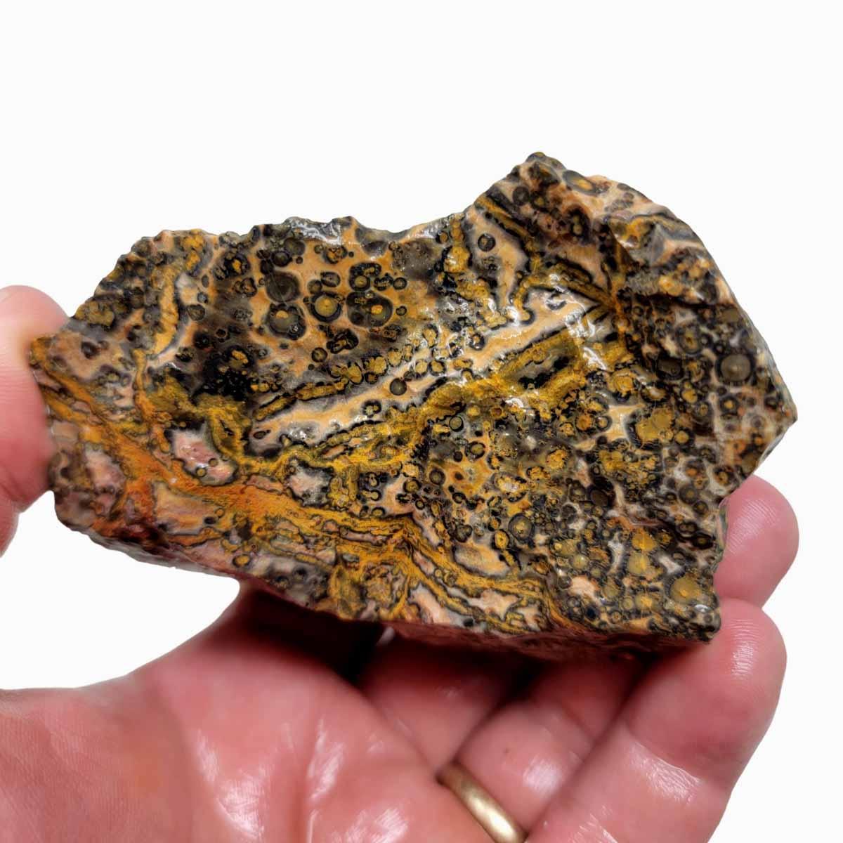 Leopard Skin Rhyolite Rough Chunk! - LapidaryCentral