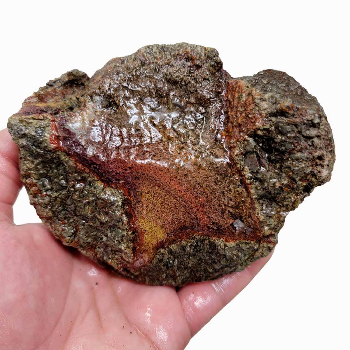 Old Stock Lucky Strike Thunderegg Rough Chunk! - Lapidary Central