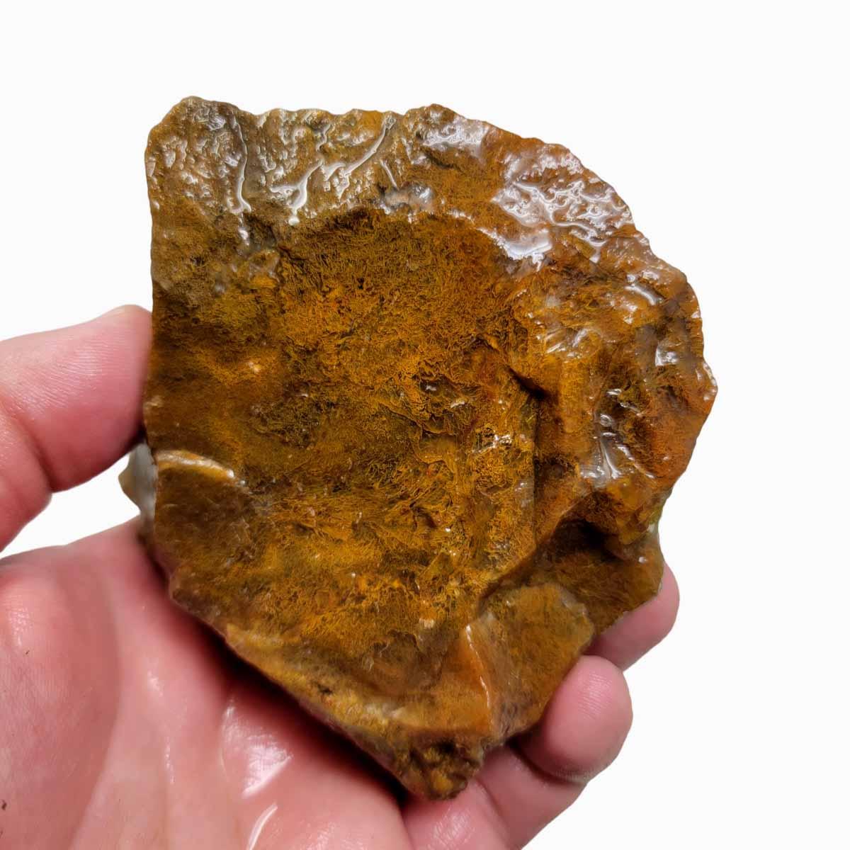 Maury Mountain Moss Agate Rough Chunk! - LapidaryCentral