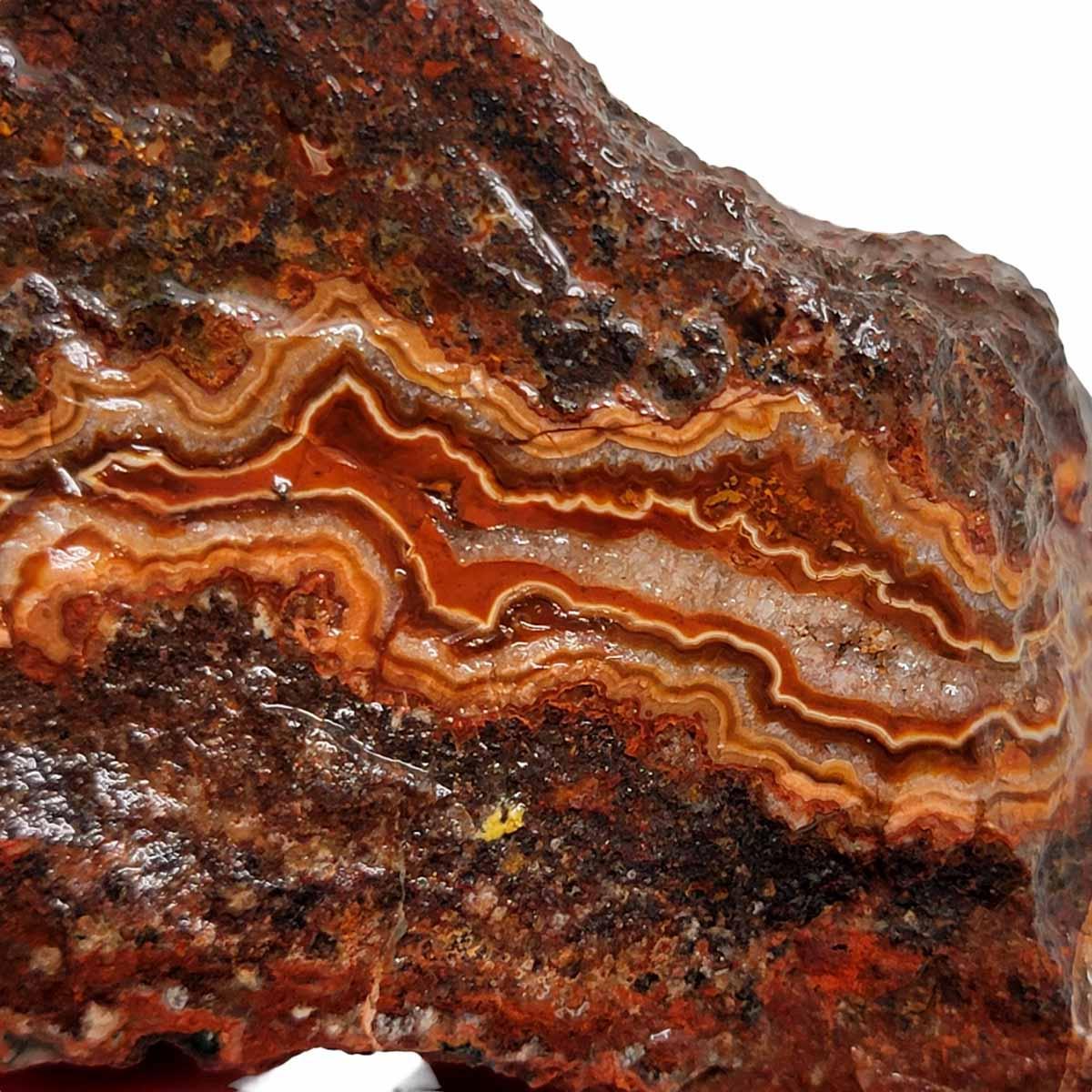 Moroccan Seam Agate Rough Chunk! - LapidaryCentral