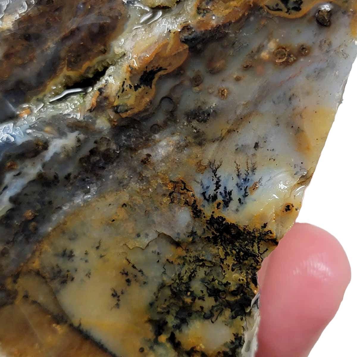 Ochoco Sunset Jasper Rough Chunk! - LapidaryCentral