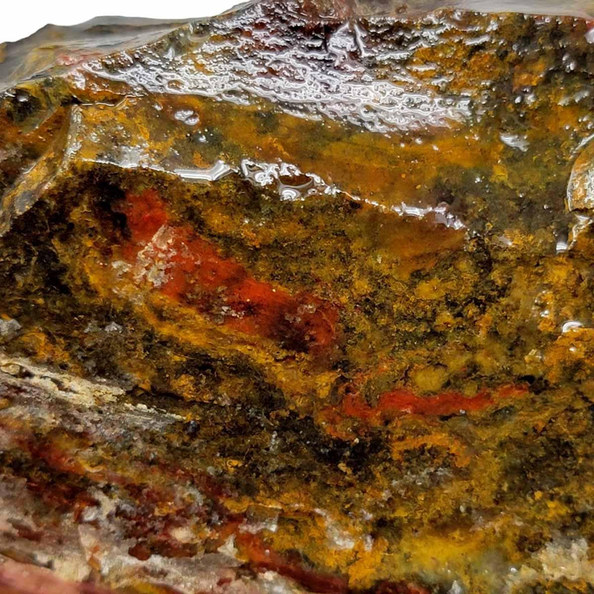 Ochoco Sunset Jasper Rough Chunk! - LapidaryCentral