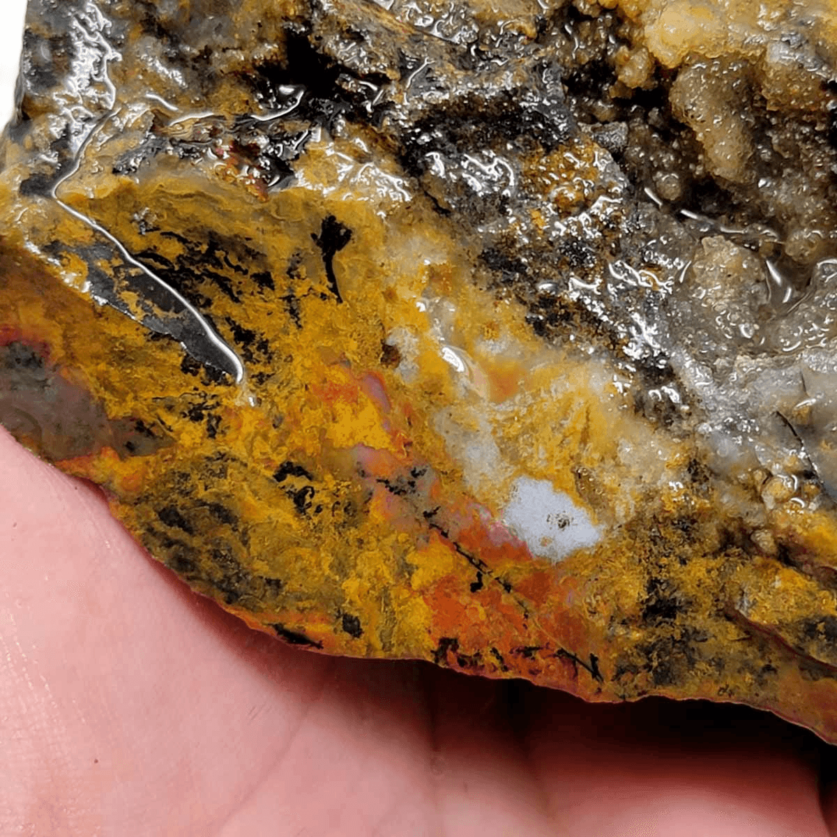 Ochoco Sunset Jasper Rough Chunk! - LapidaryCentral