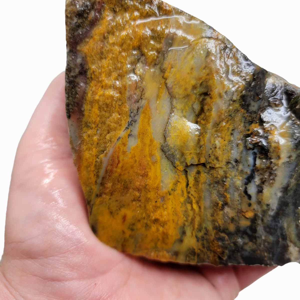 Ochoco Sunset Jasper Rough Chunk! - LapidaryCentral