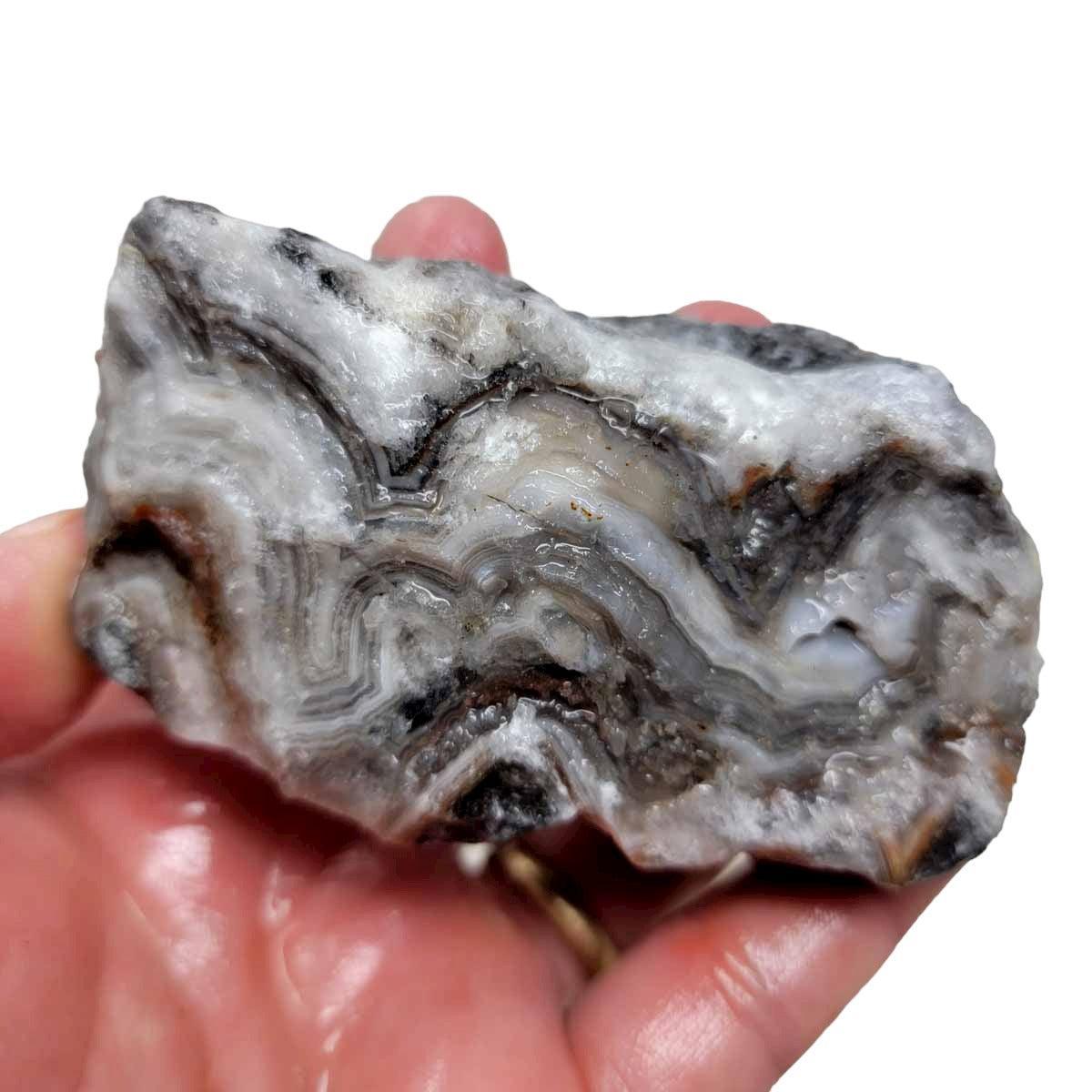 Old Vein Lace Agate Rough Chunk! - LapidaryCentral