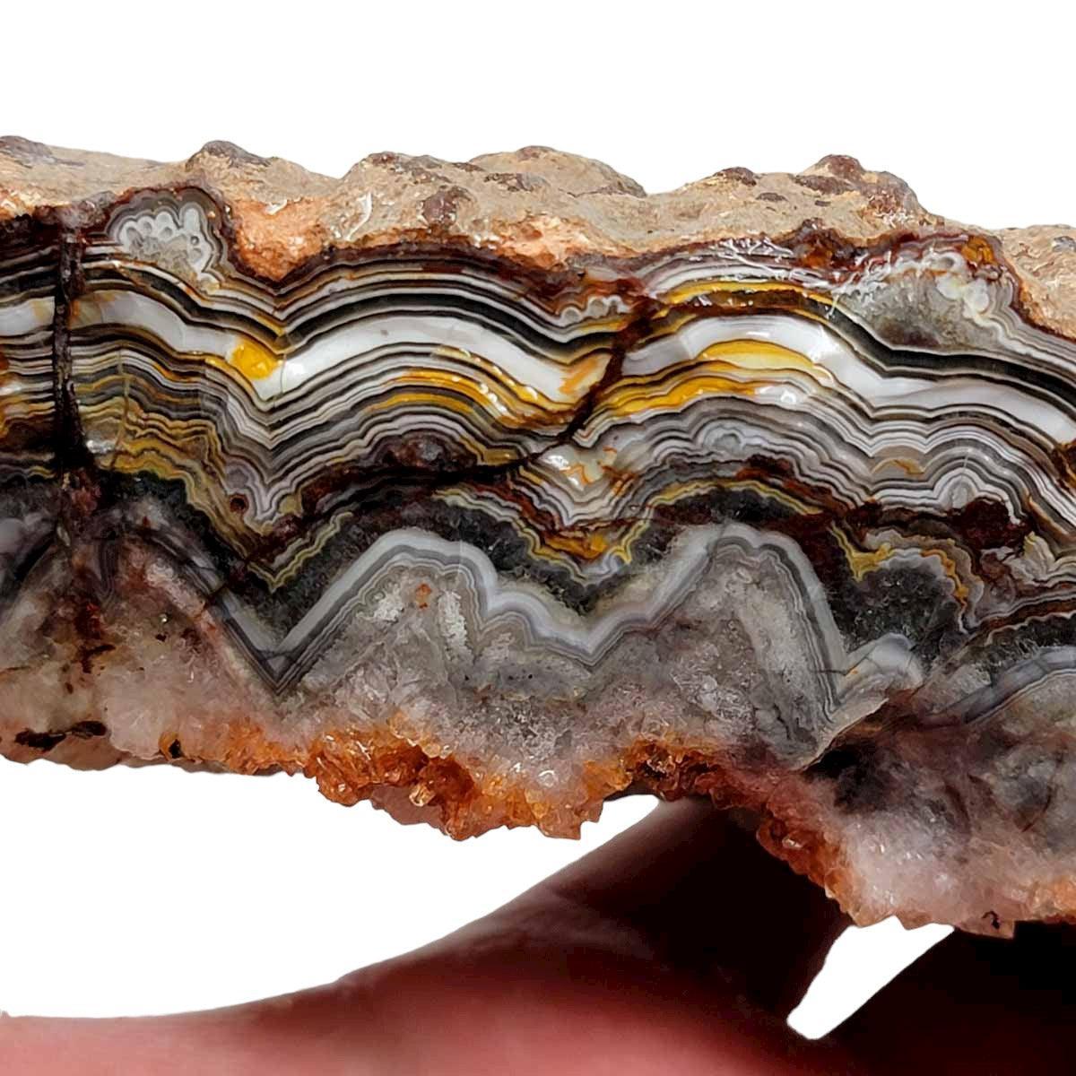 Old Vein Lace Agate Rough Chunk! - LapidaryCentral