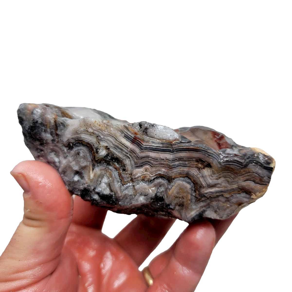 Old Vein Lace Agate Rough Chunk! - LapidaryCentral