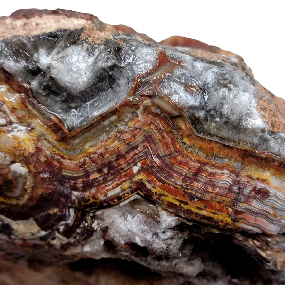 Old Vein Lace Agate Rough Chunk! - LapidaryCentral