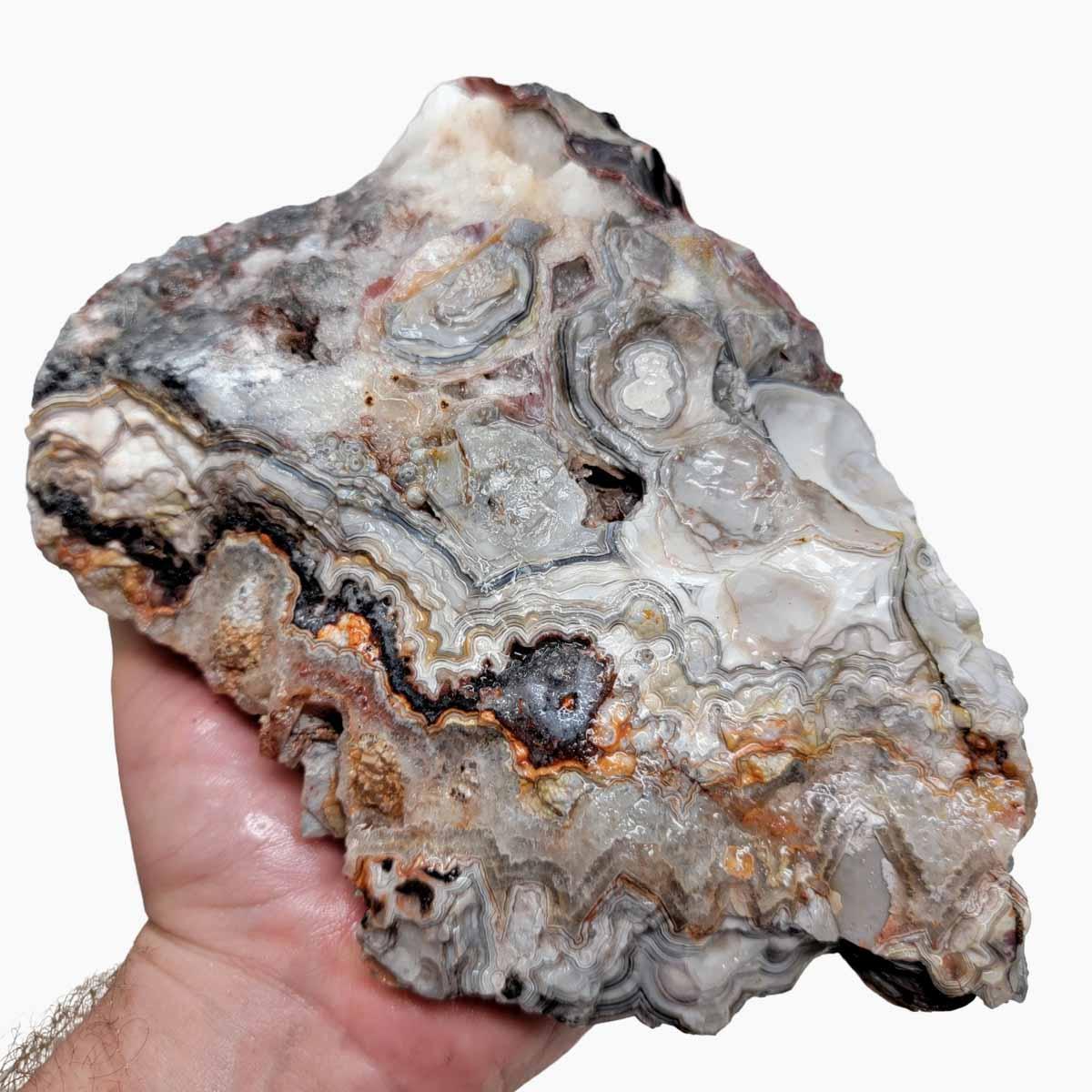 Old Vein Lace Agate Rough Chunk! - LapidaryCentral