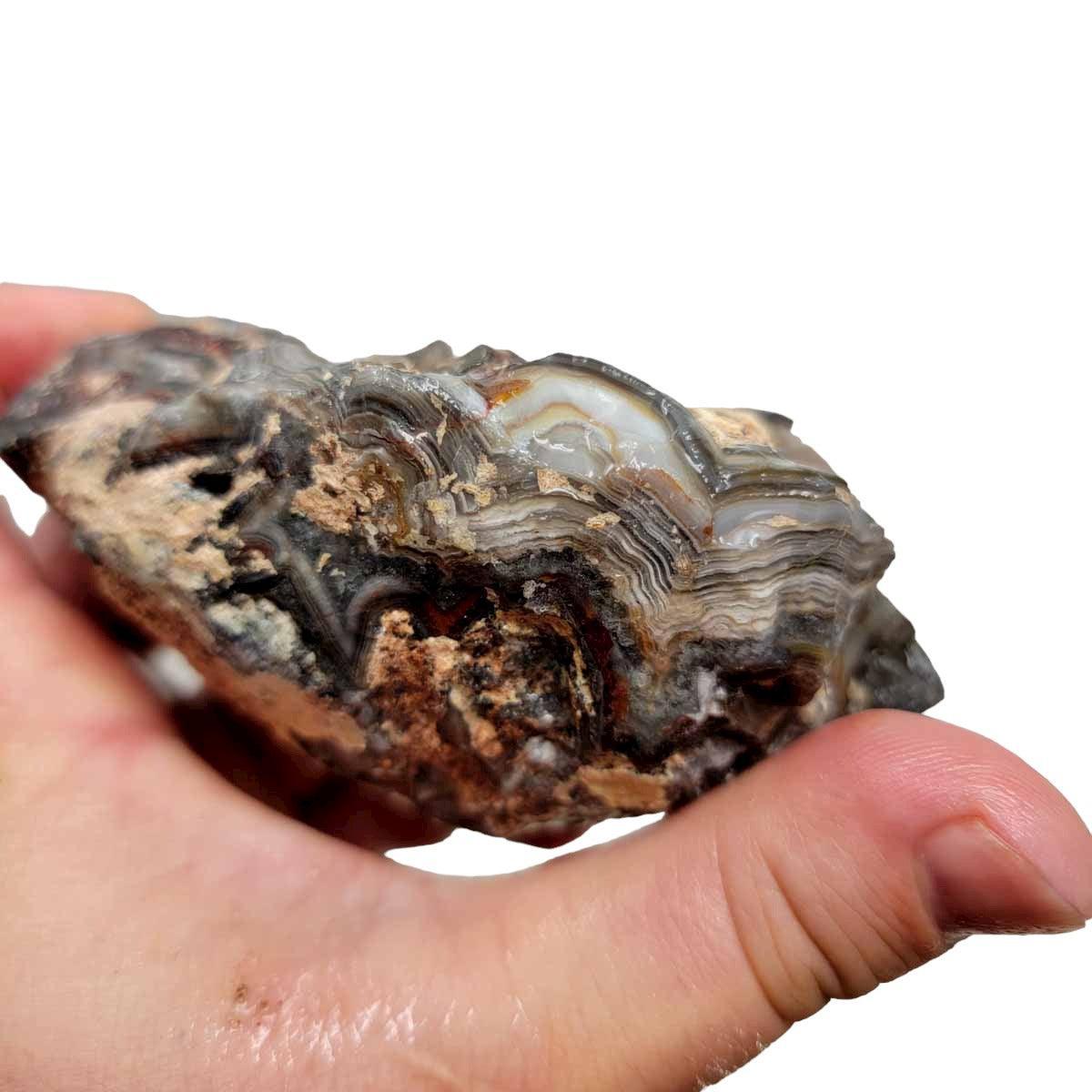 Old Vein Lace Agate Rough Chunk! - LapidaryCentral