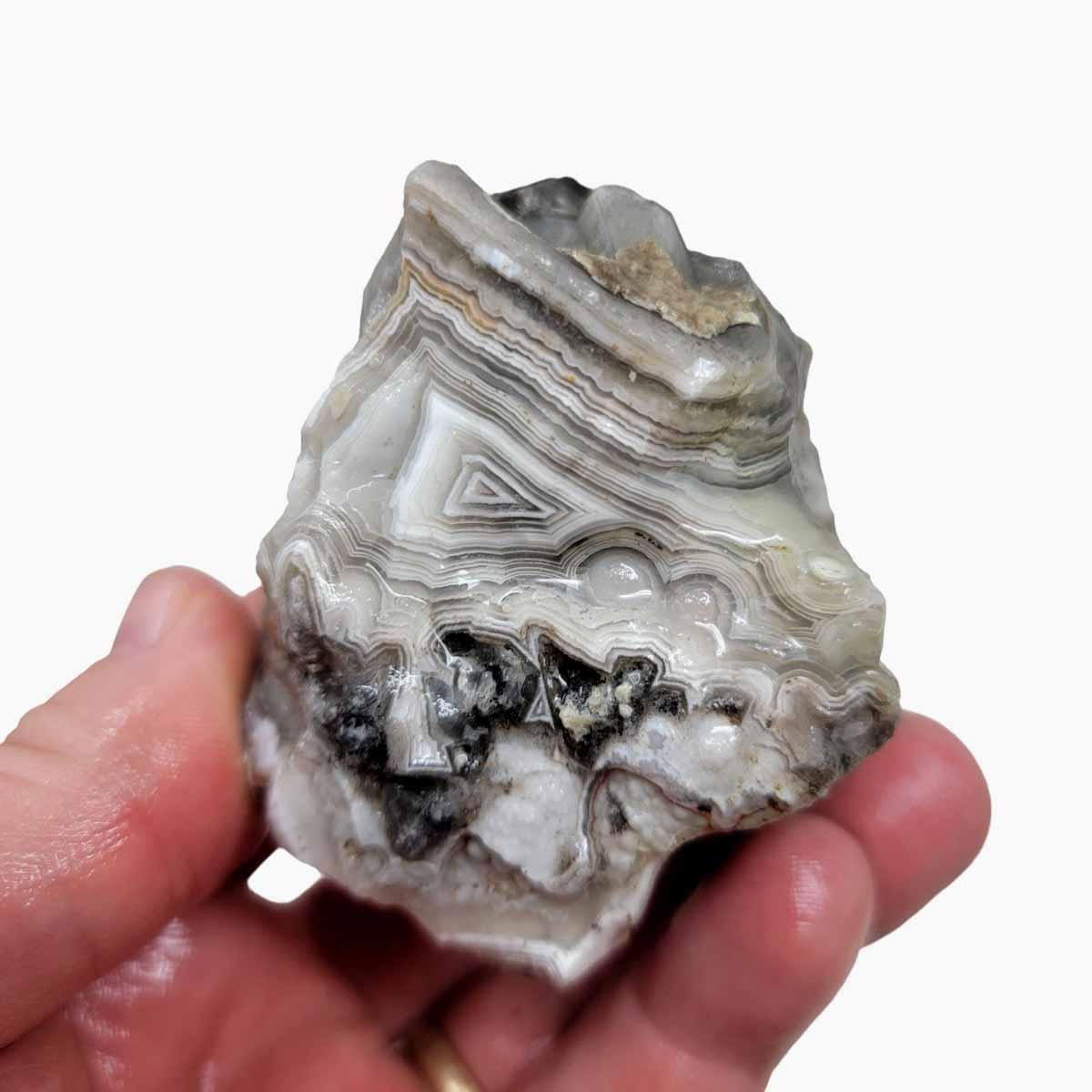 Old Vein Lace Agate Rough Chunk! - LapidaryCentral