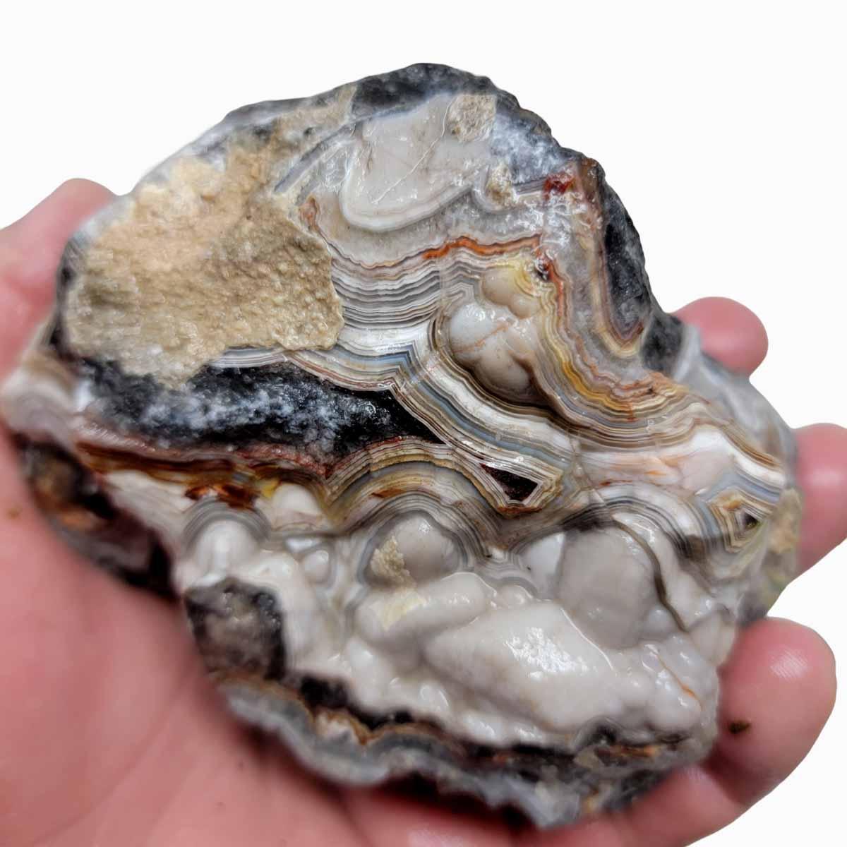 Old Vein Lace Agate Rough Chunk! - LapidaryCentral
