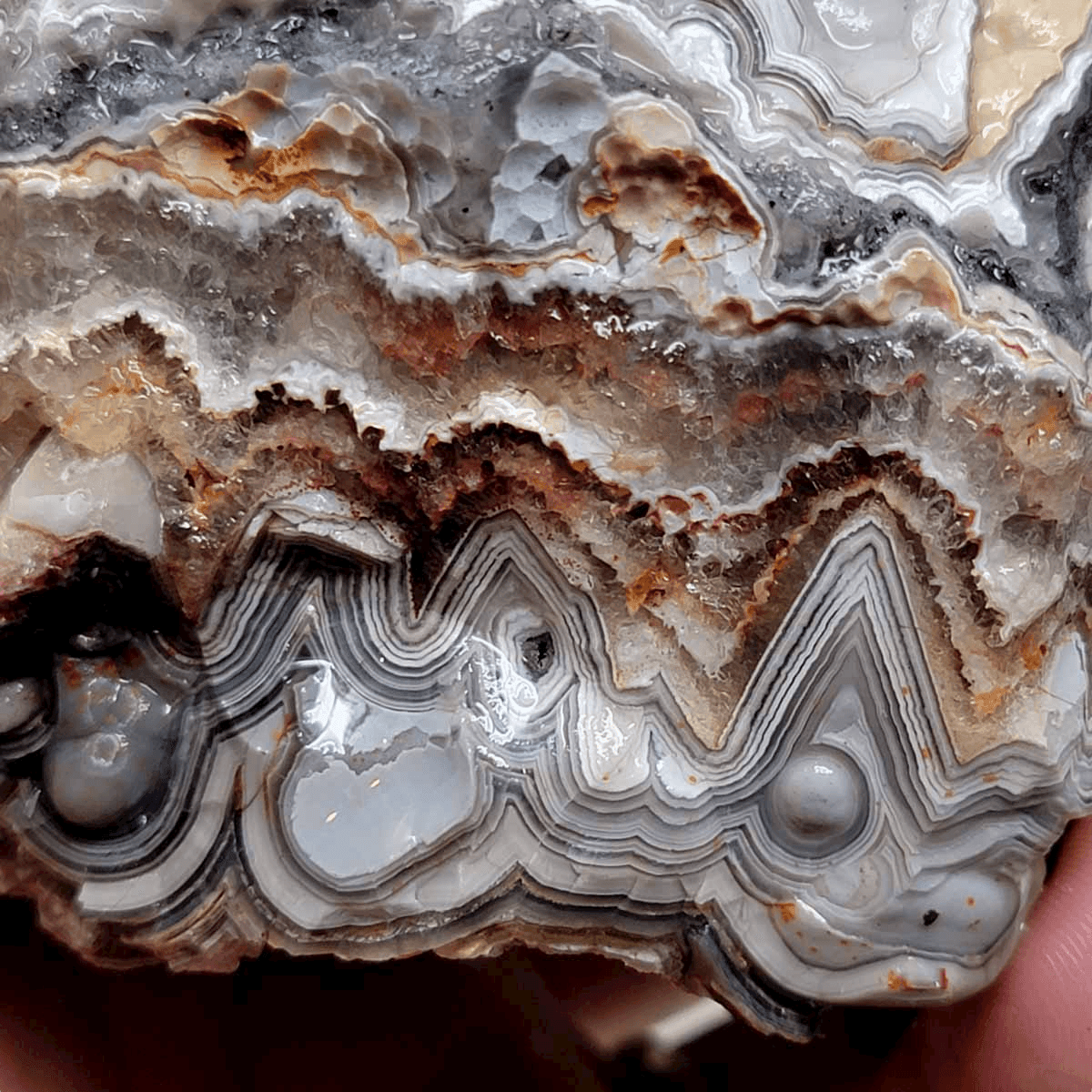 Old Vein Lace Agate Rough Chunk! - LapidaryCentral