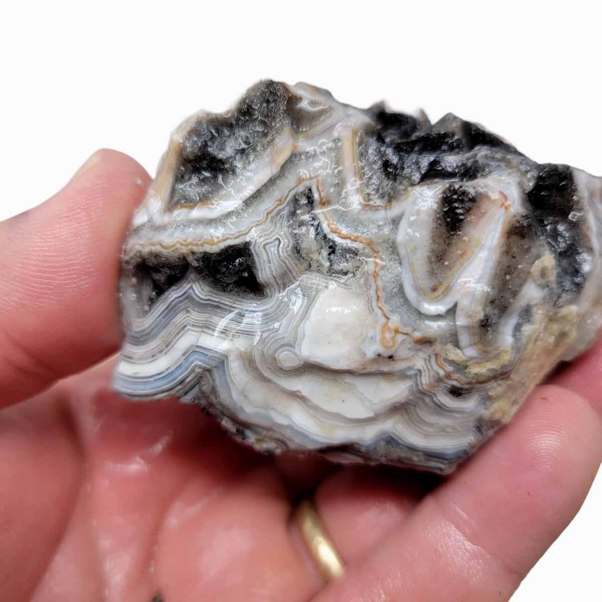 Old Vein Lace Agate Rough Chunk! - LapidaryCentral