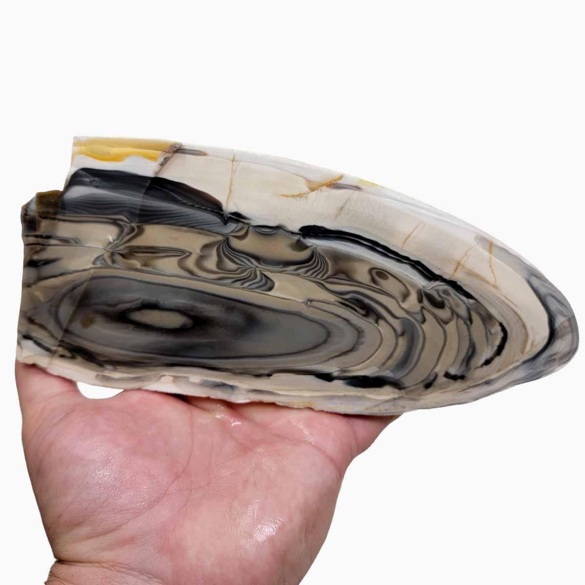 RARE Polish Flint Orbicular Cut Rough Chunk! - Lapidary Central