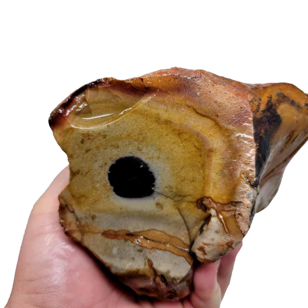 Polychrome Jasper Rough Chunk! - LapidaryCentral