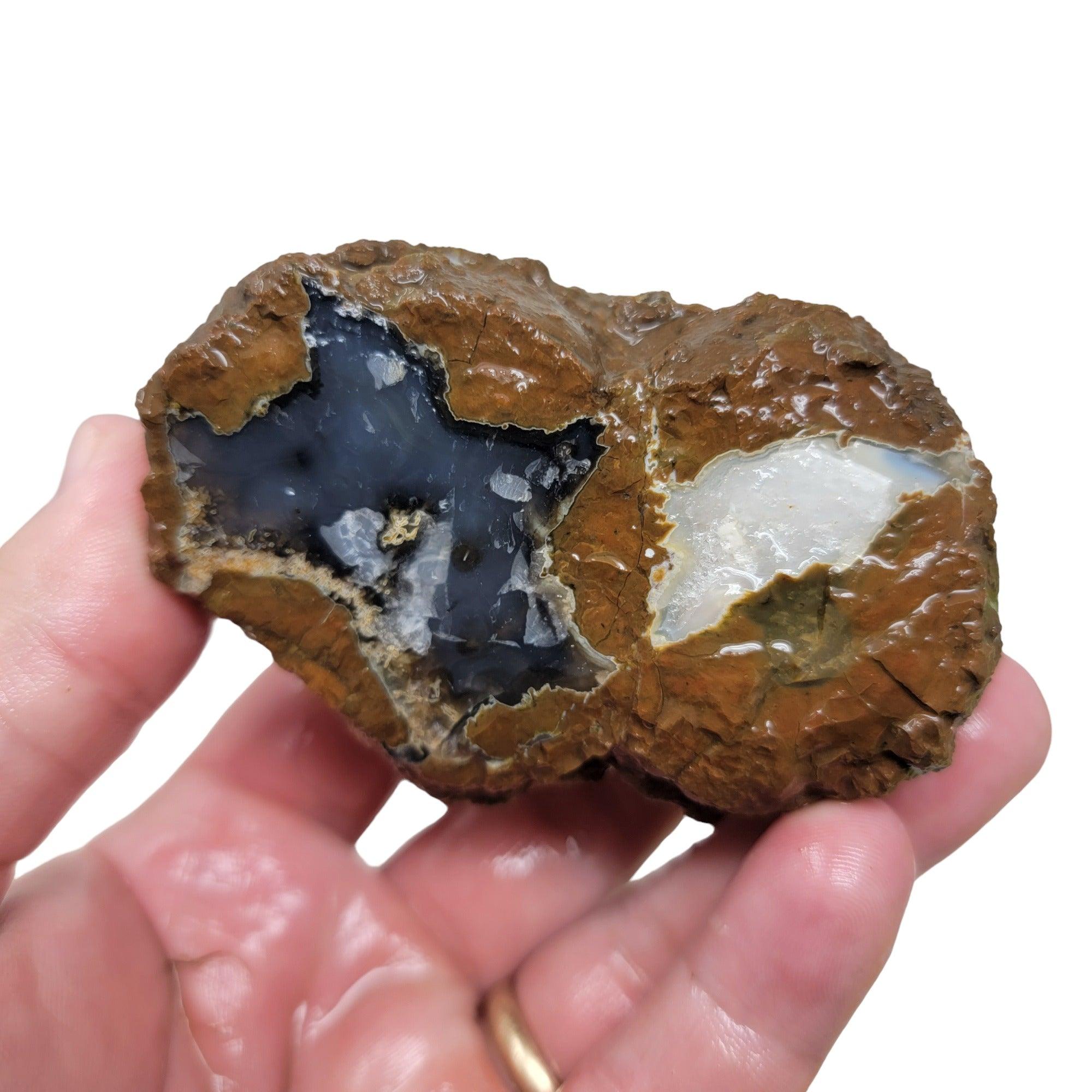 Priday Blue Bed Dual ThunderEgg Rough Chunk! - Lapidary Central