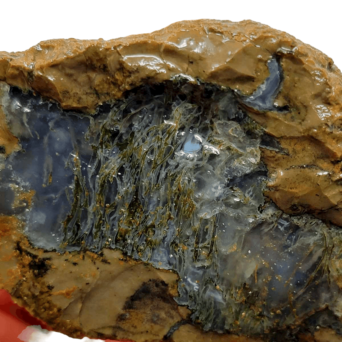 Priday Moss Bed Egg Rough Chunk! - LapidaryCentral