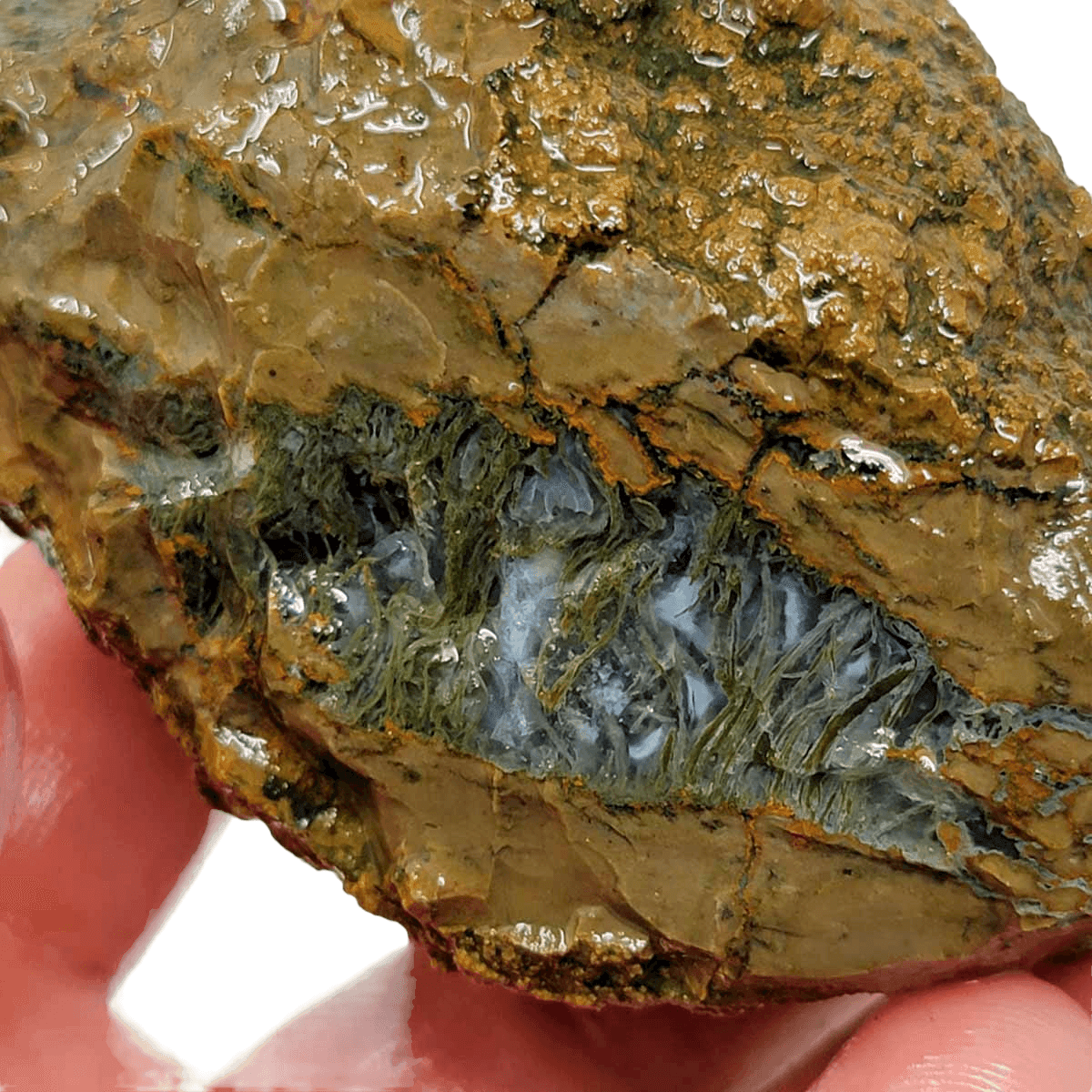 Priday Moss Bed Egg Rough Chunk! - LapidaryCentral