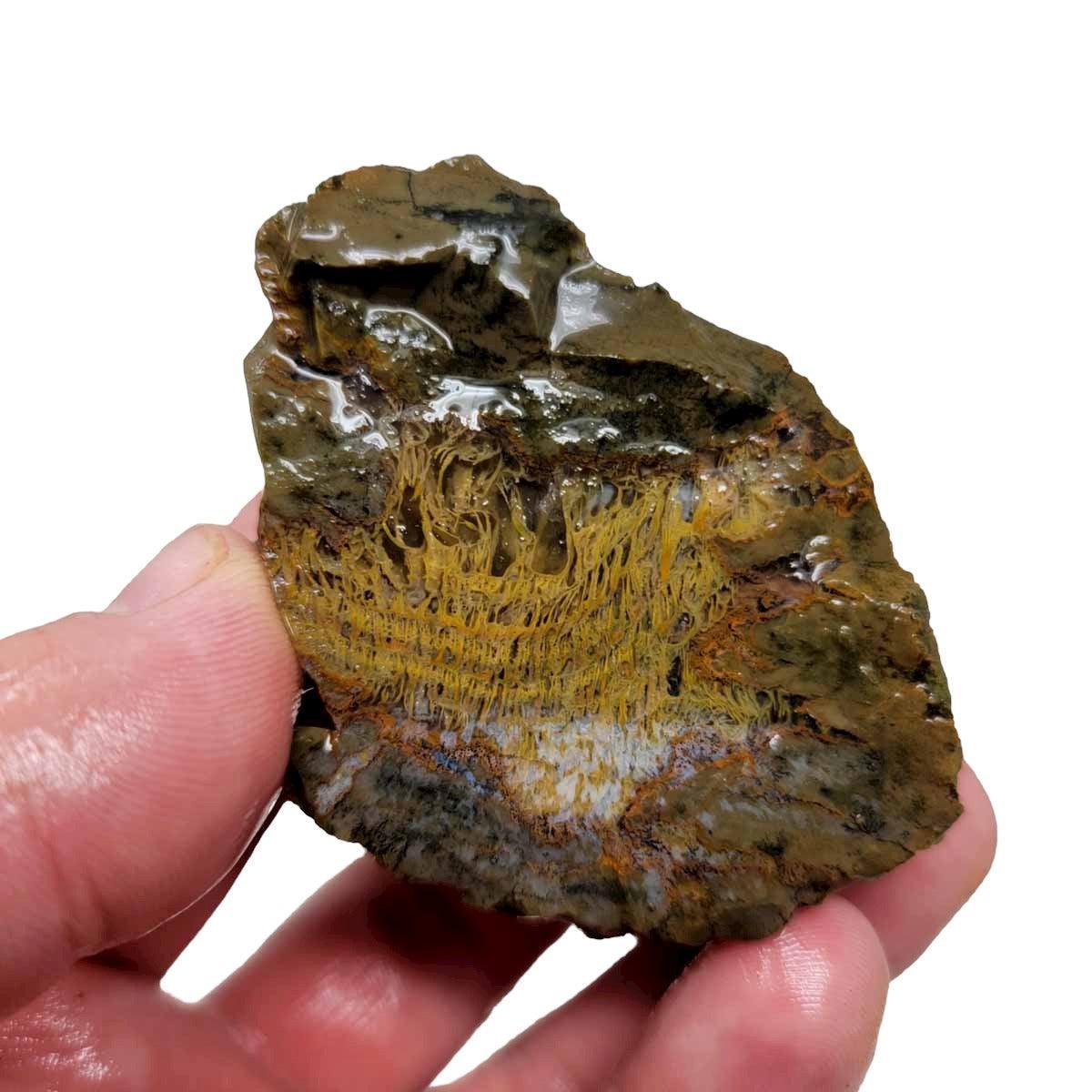 Priday Moss Bed Egg Rough Chunk! - LapidaryCentral