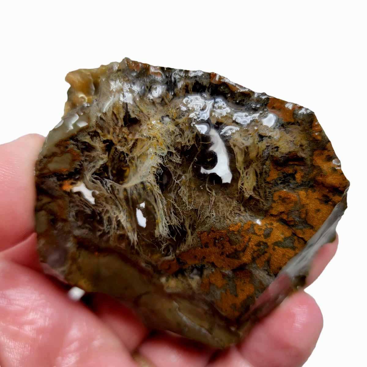 Priday Moss Bed Egg Rough Chunk! - LapidaryCentral