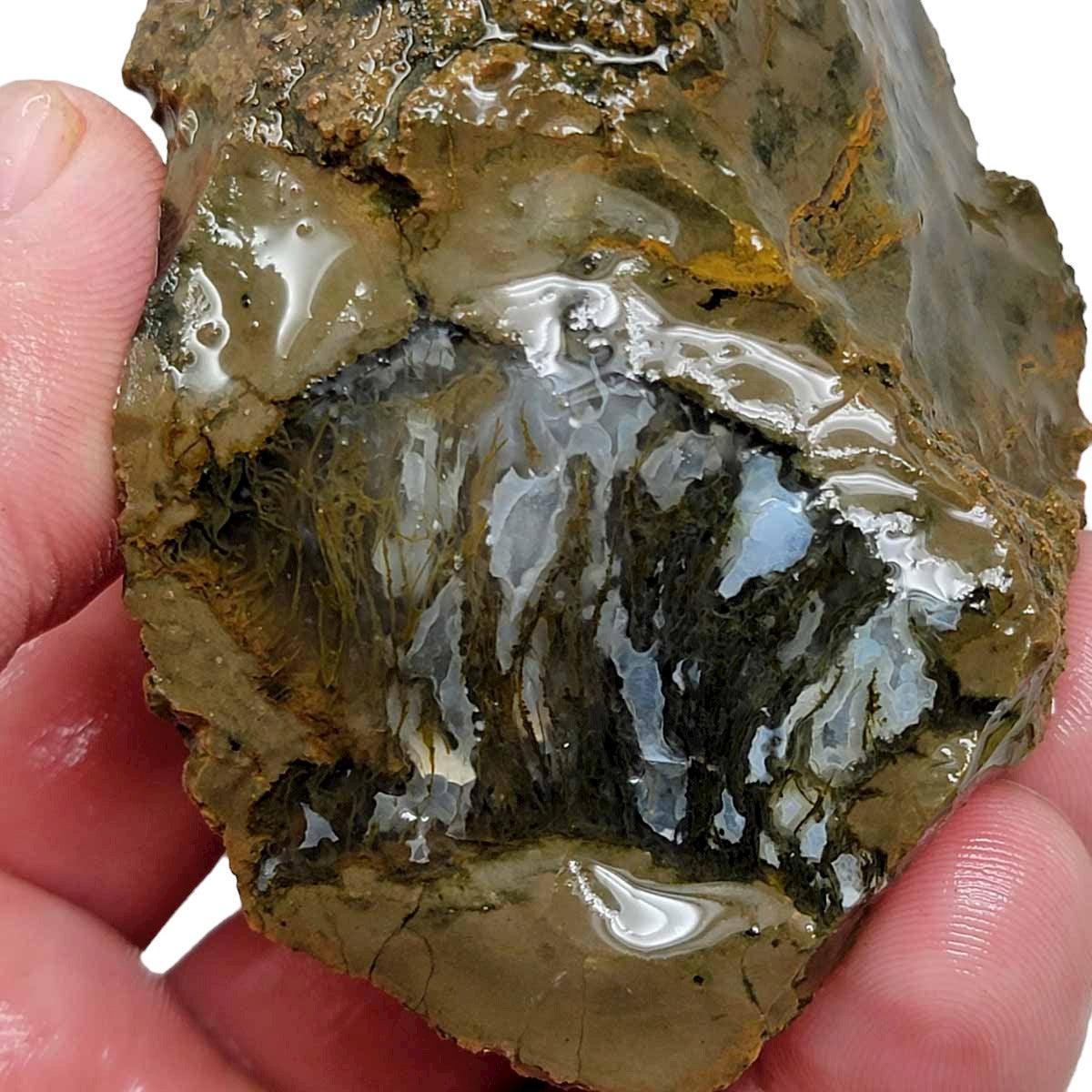 Priday Moss Bed Egg Rough Chunk! - LapidaryCentral