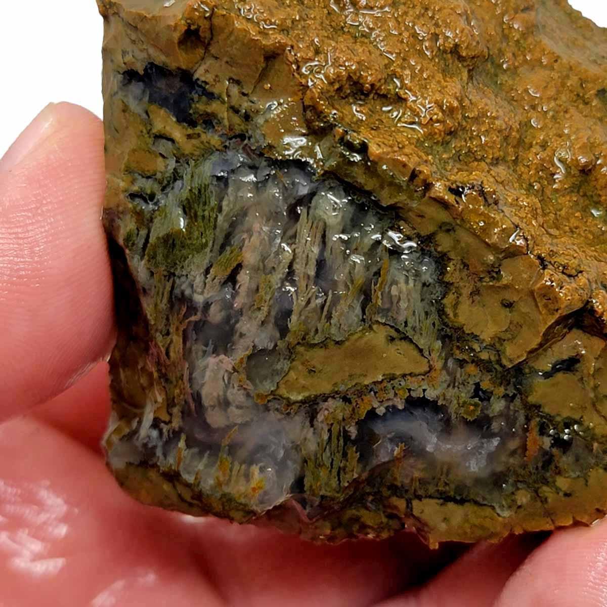 Priday Moss Bed Egg Rough Chunk! - LapidaryCentral