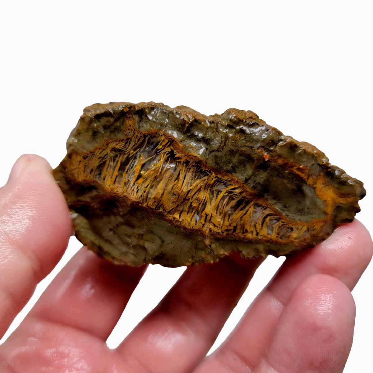 Priday Moss Bed Egg Rough Chunk! - LapidaryCentral