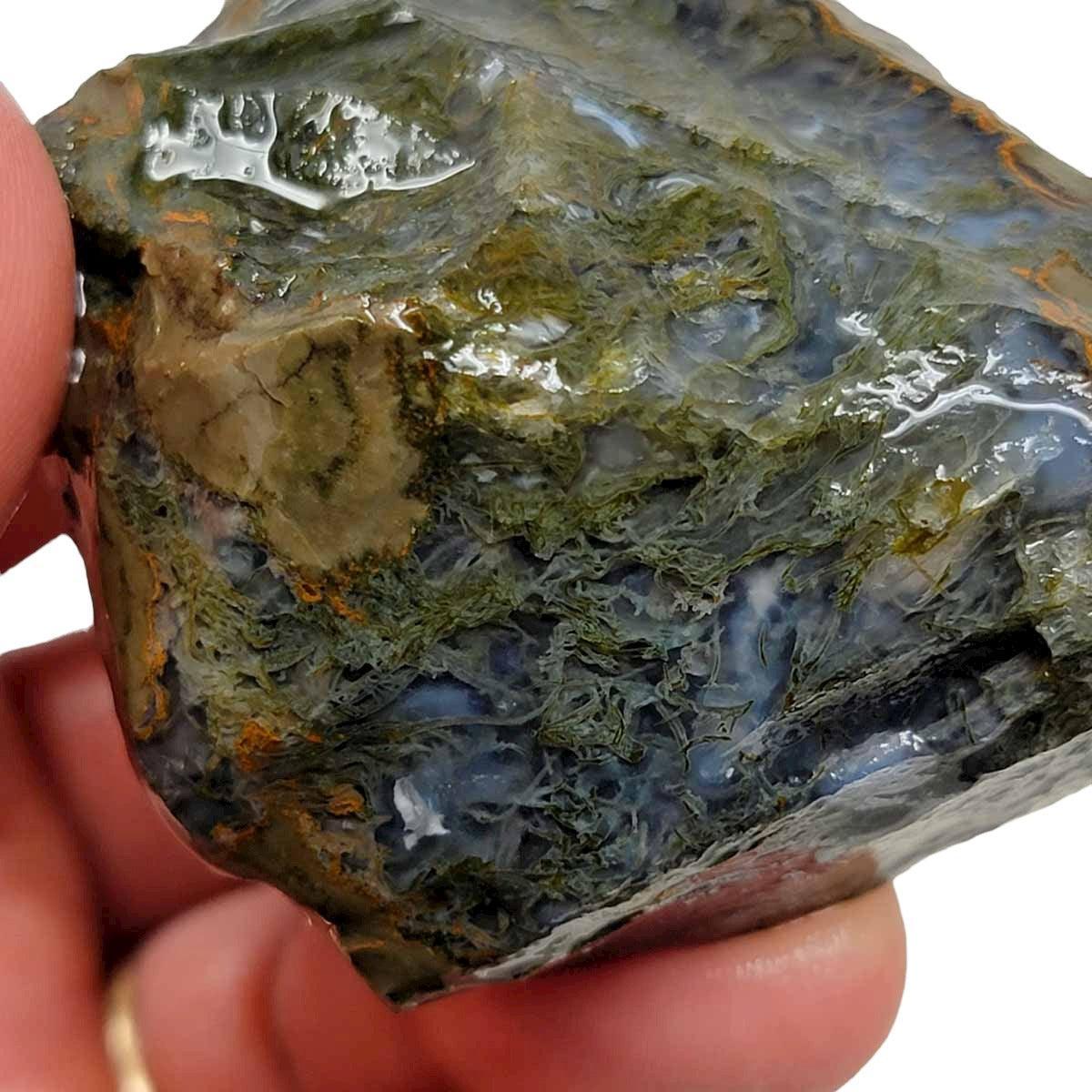 Priday Moss Bed Egg Rough Chunk! - LapidaryCentral