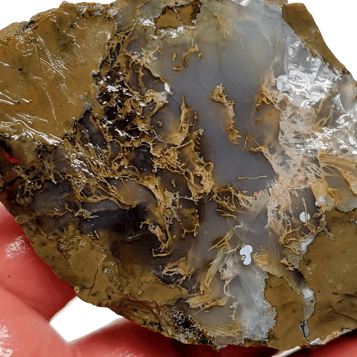 Priday Moss Bed Egg Rough Chunk! - LapidaryCentral