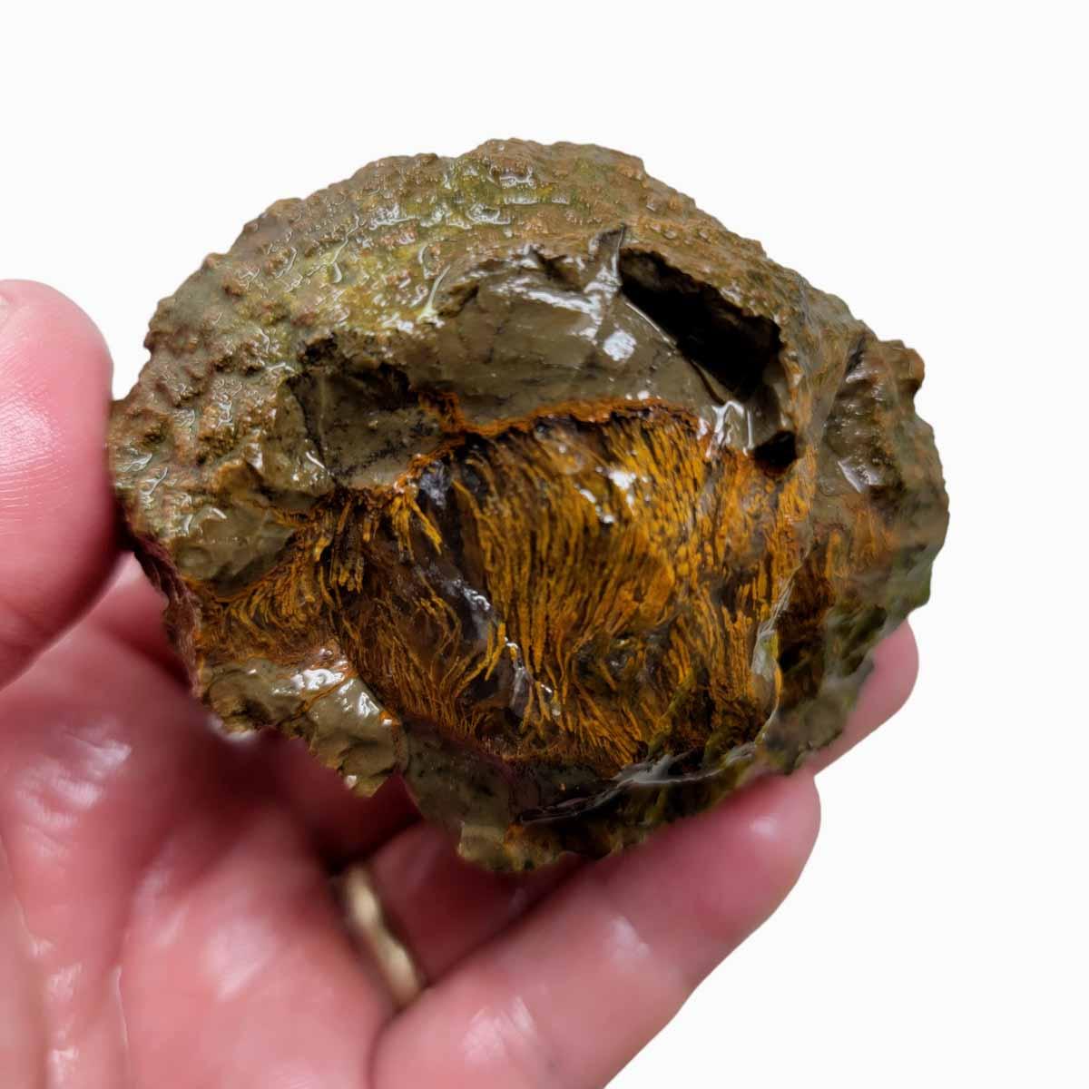 Priday Moss Bed Egg Rough Chunk! - Lapidary Central