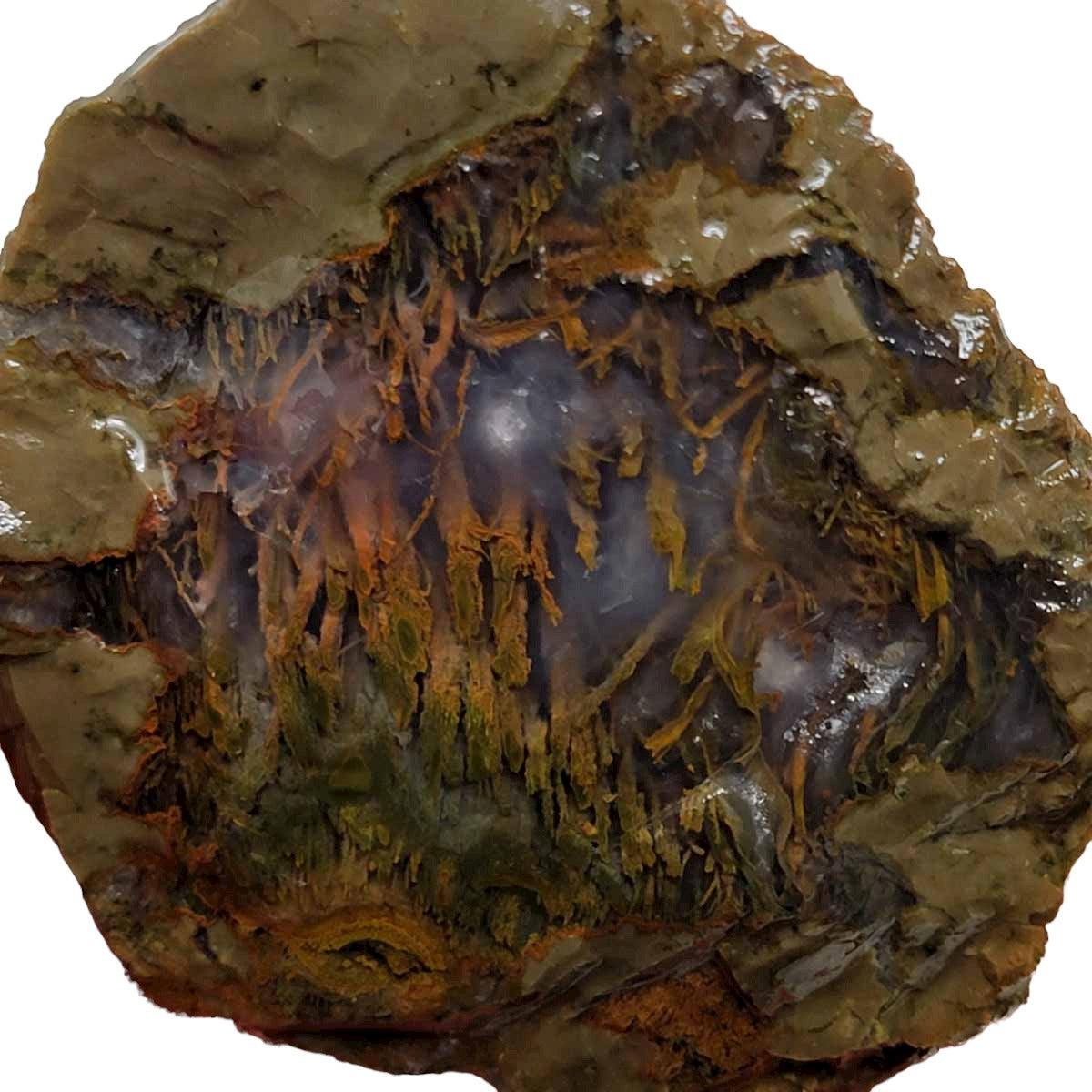 Priday Moss Bed Egg Rough Chunk! - LapidaryCentral