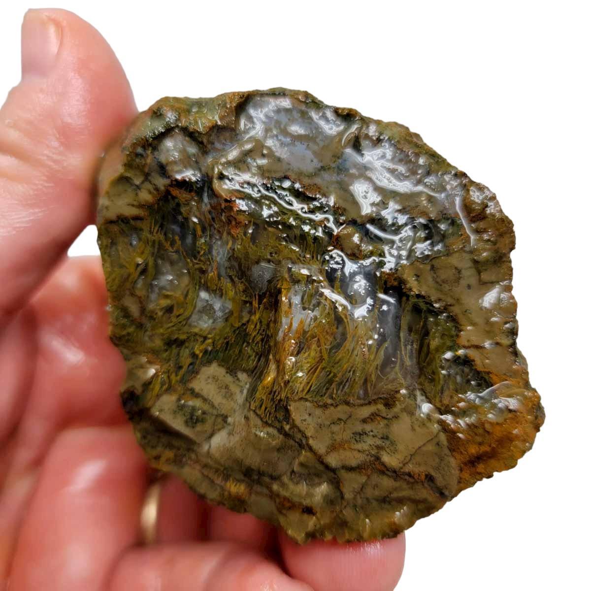 Priday Moss Bed Egg Rough Chunk! - LapidaryCentral