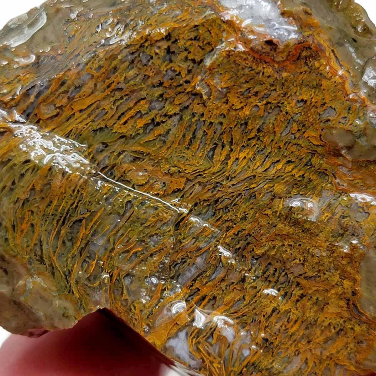 Priday Moss Bed Egg Rough Chunk! - LapidaryCentral