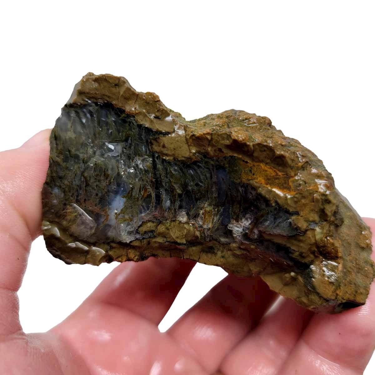 Priday Moss Bed Egg Rough Chunk! - LapidaryCentral