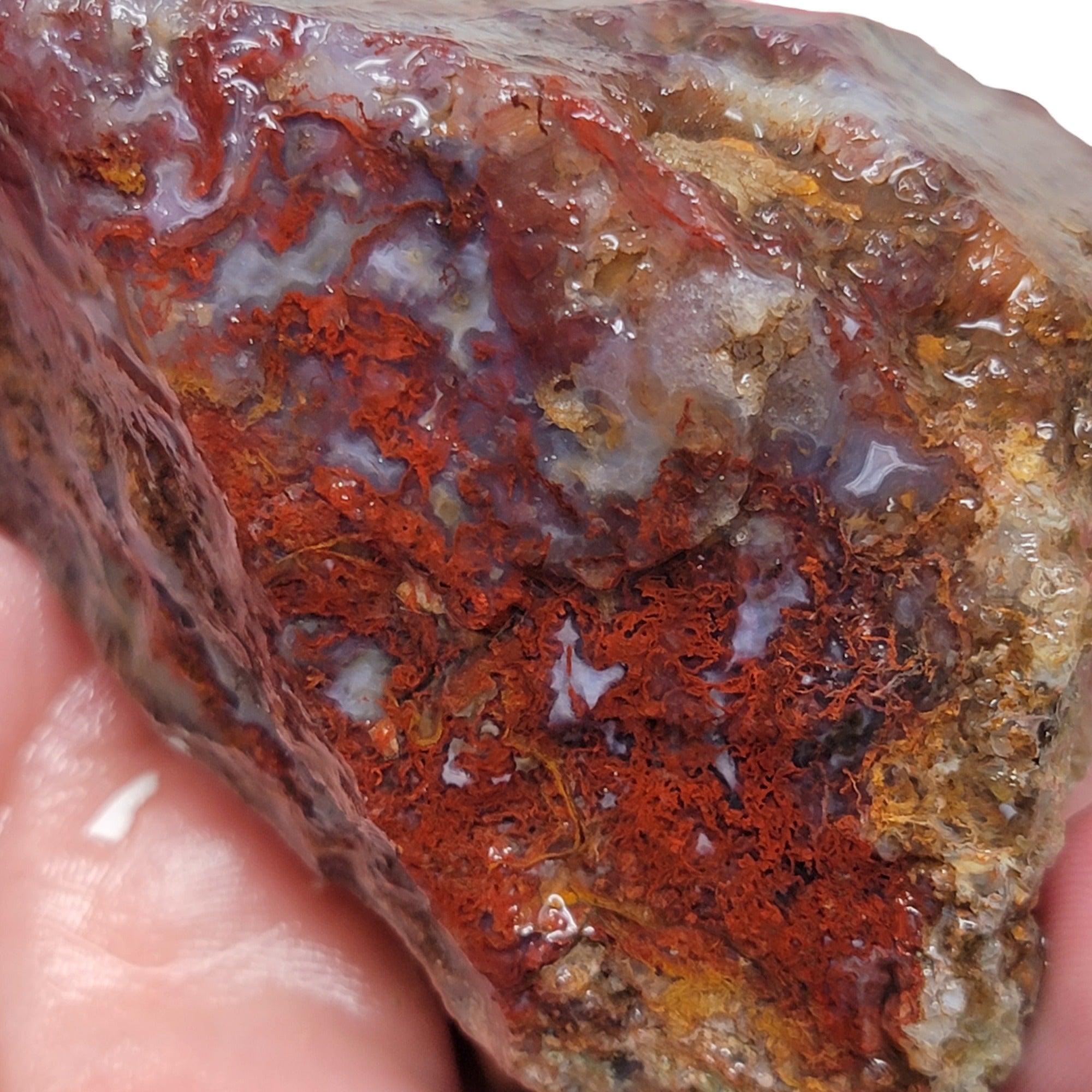 San Carlos Moss Agate Rough Chunk! - Lapidary Central