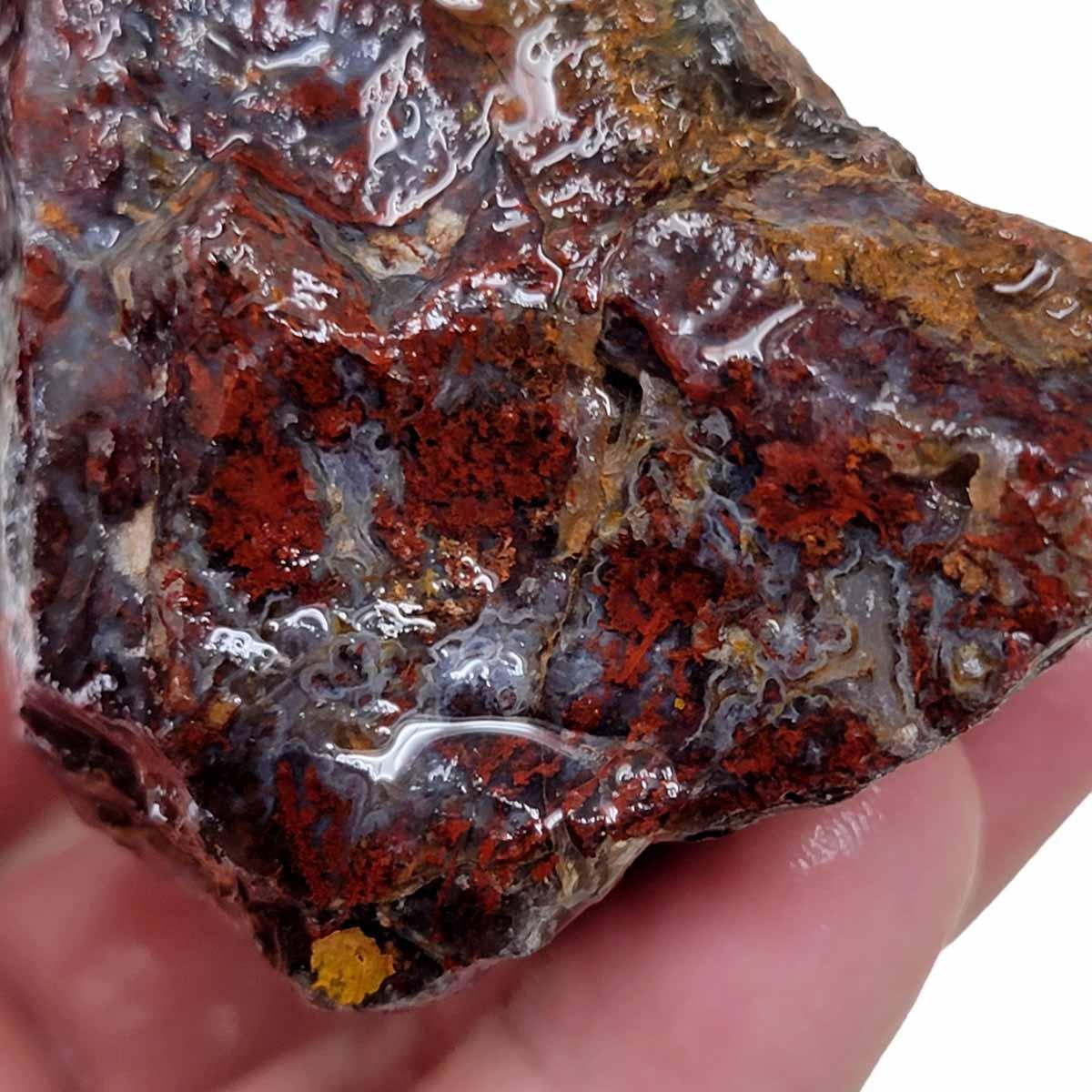 San Carlos Moss Agate Rough Chunk! - Lapidary Central