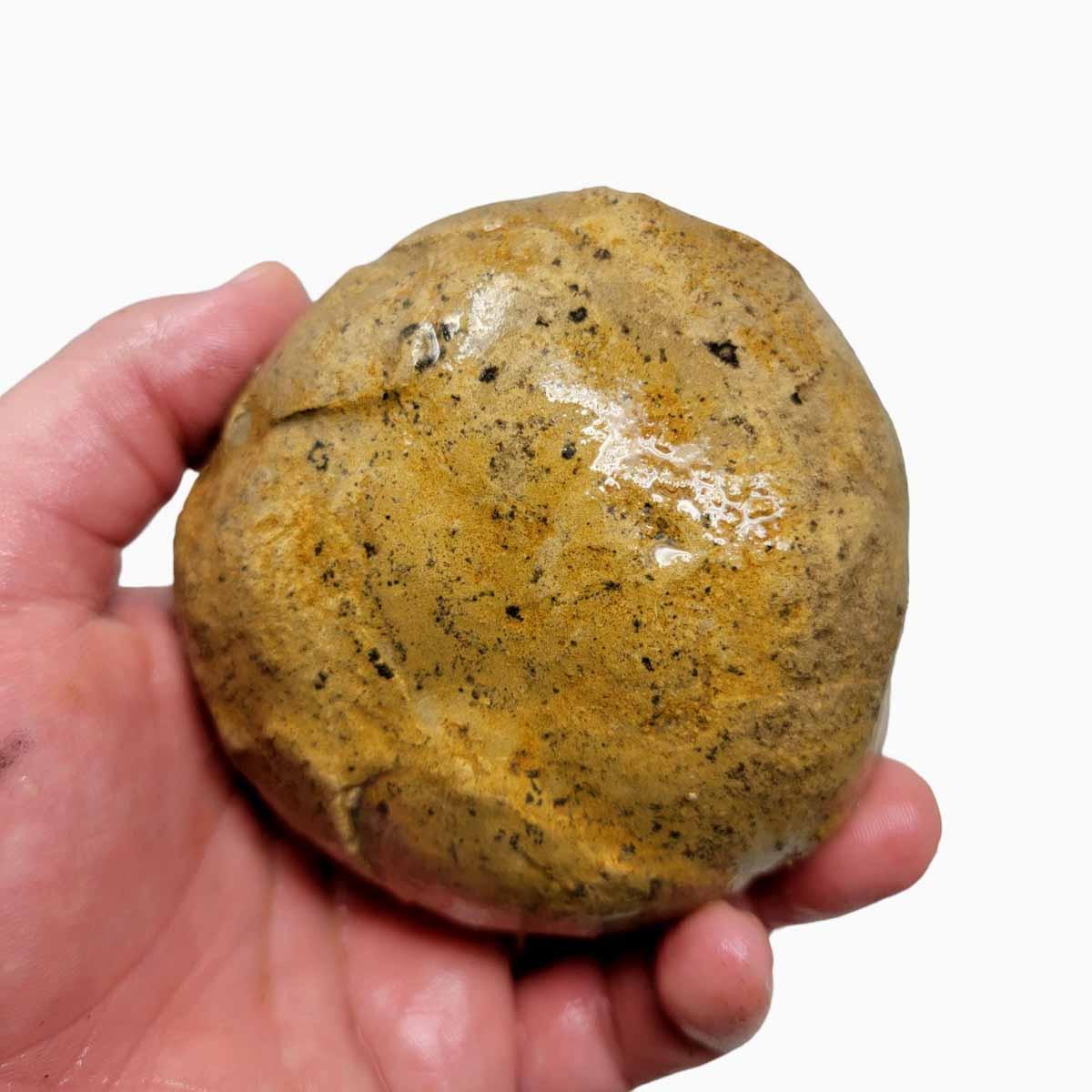 Utah Septarian Nodule Rough Chunk – Calcite Patterns Fossil! #R267-Photo1