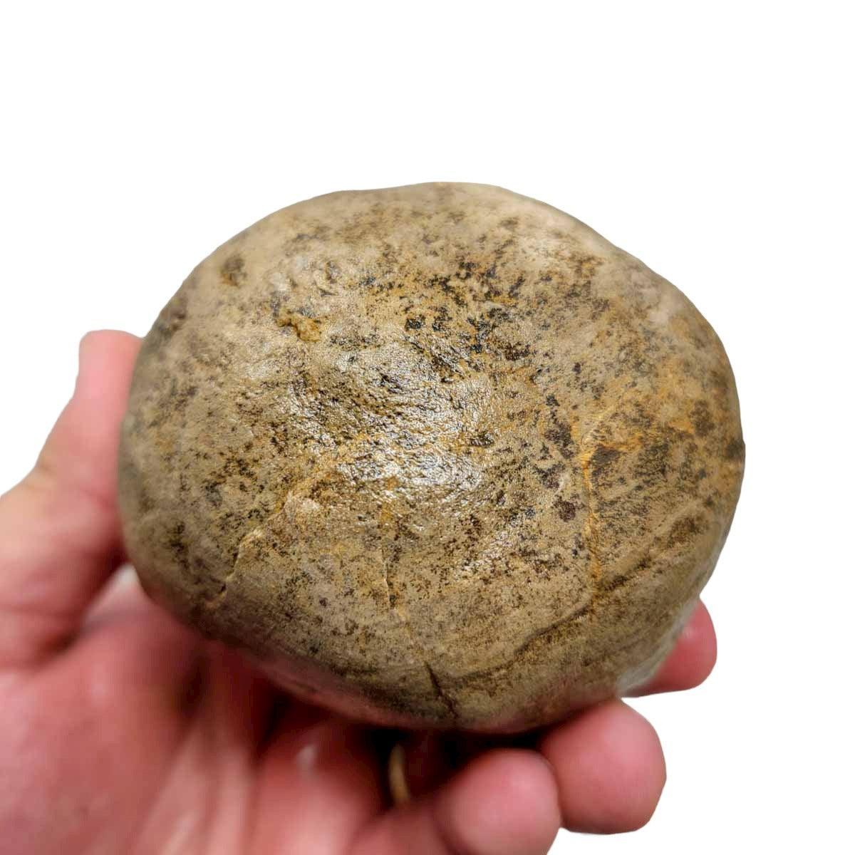 Utah Septarian Nodule Rough Chunk - Calcite Patterns Fossil #R182-Photo1